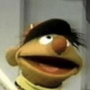 Meet your Posher, Ashlyn